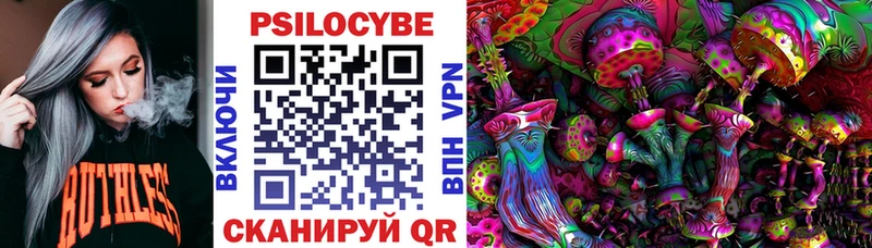 Купить где  Волхов  Псилоцибиновые грибы Psilocybe 